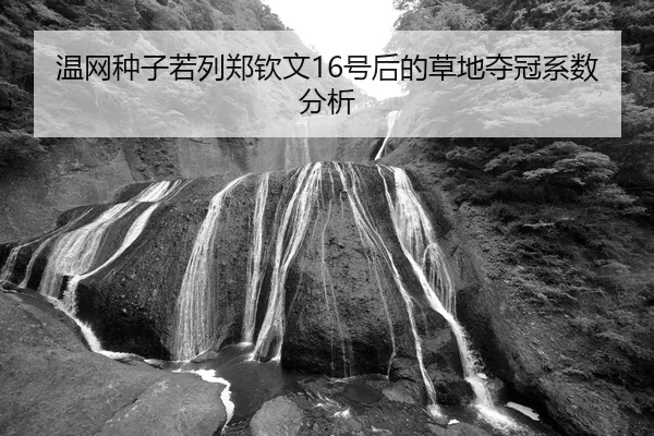 wen-wang-zhong-zi-ruo-lie-zheng-qin-wen-hao-hou-de-cao-di-duo-guan-xi-shu-fen-xi-2-957.jpg